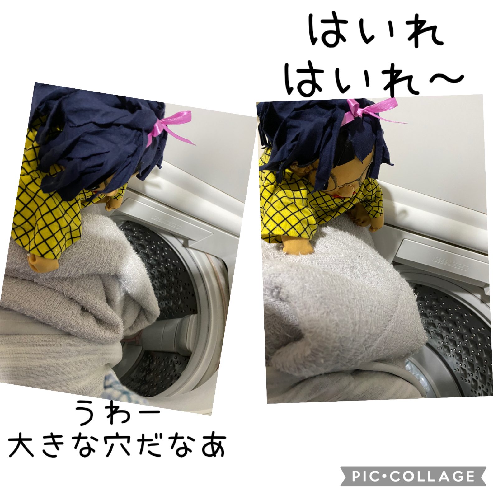 ボンちゃんしゃしんえほん