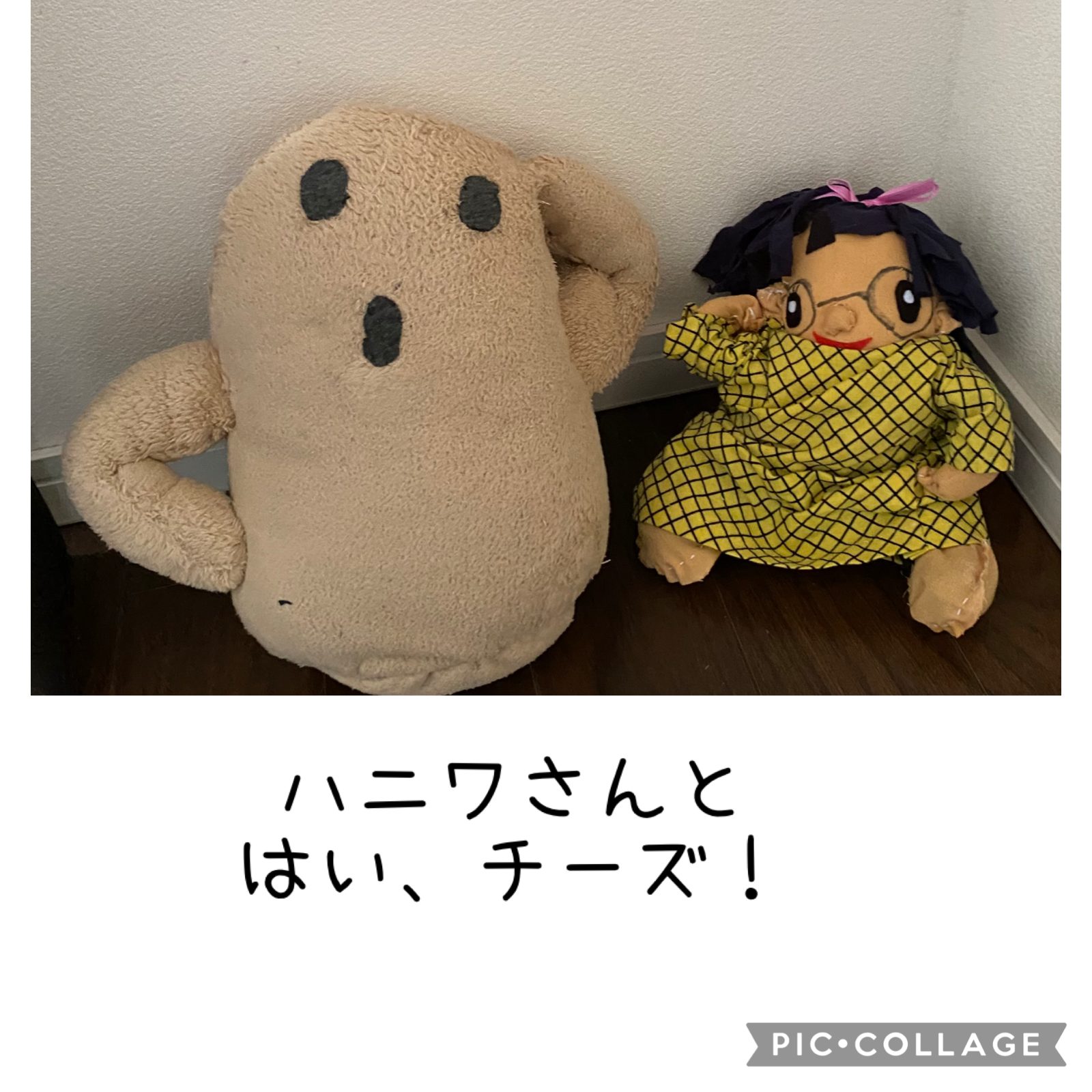 ボンちゃんしゃしんえほん